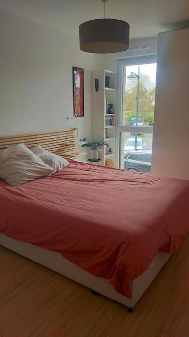 T2 Neuf Au Pied De La Plage Saint-Pierre-Quiberon Ngoại thất bức ảnh